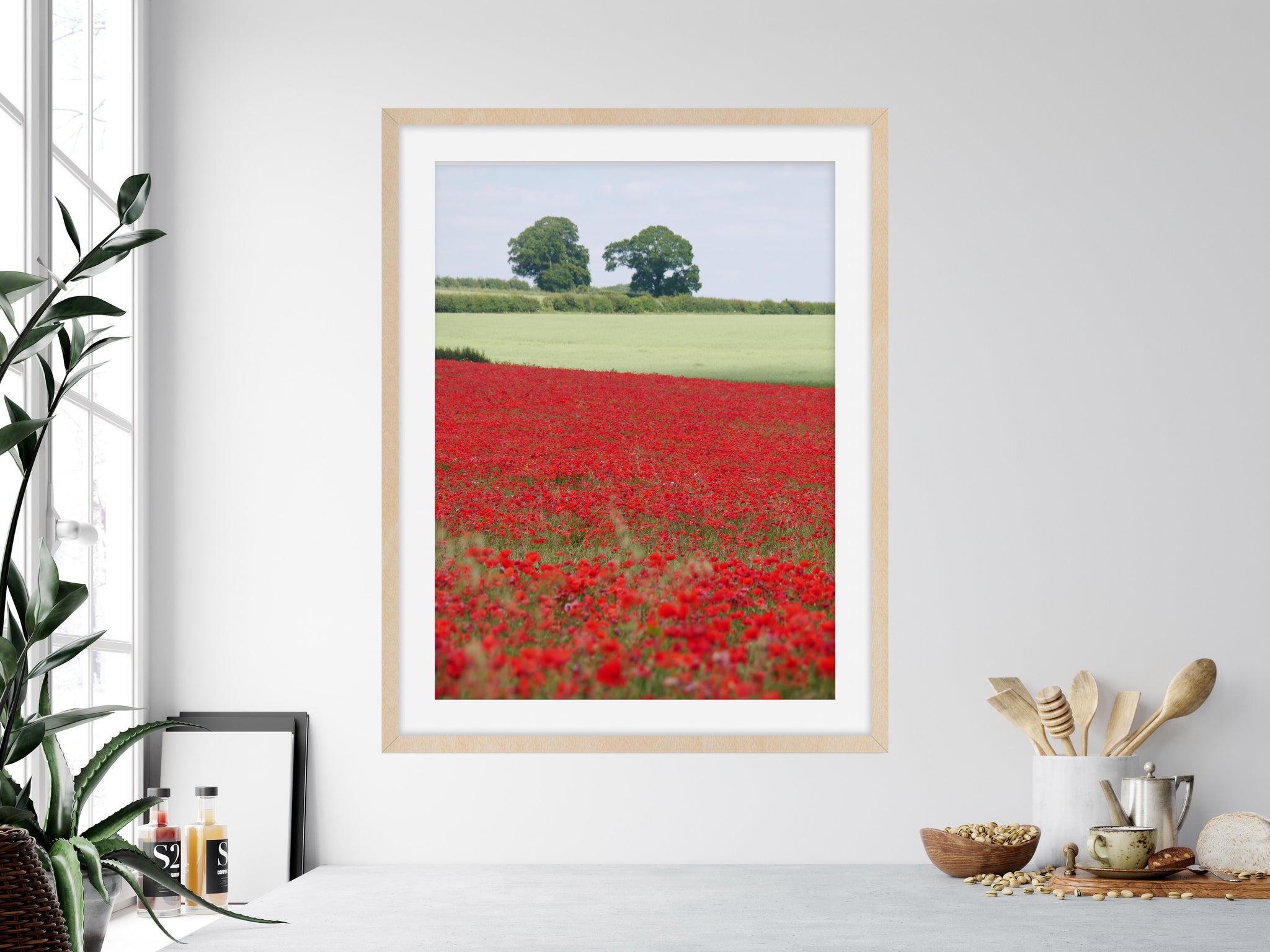 Poppy Field