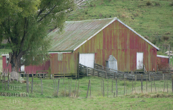 Red Wool Shed
