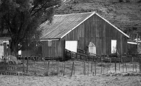 Black n White Woolshed